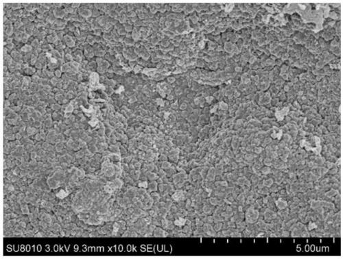 Method for preparing Ti/SnO2-Sb (titanium/tin dioxide-antimony) electrode by tricarboxylic organic acid-Sn(II)/Sb(III) complex