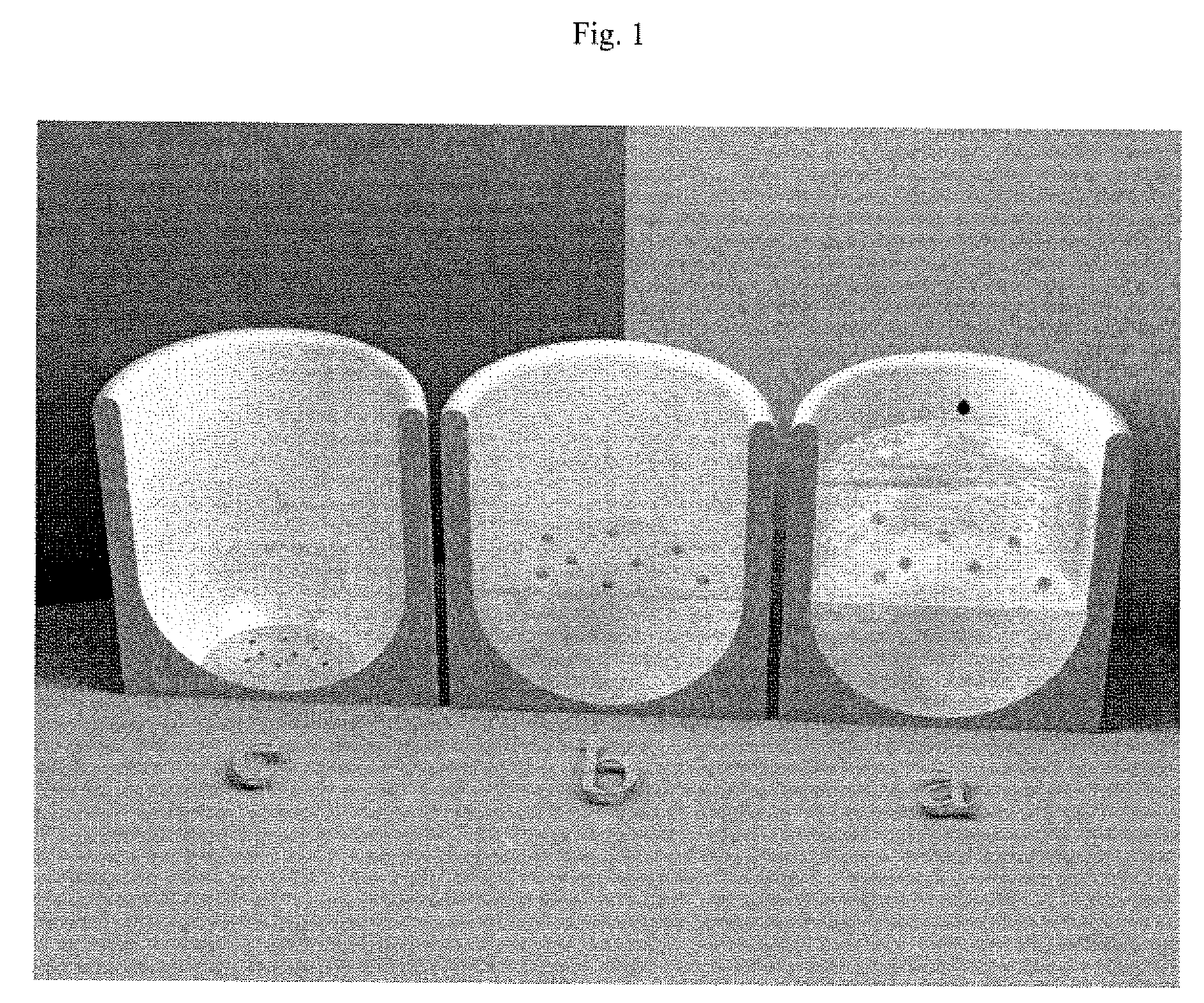 Color-Coded and Sized Loadable Polymeric Particles for Therapeutic and/or Diagnostic Applications and Methods of Preparing and Using the Same