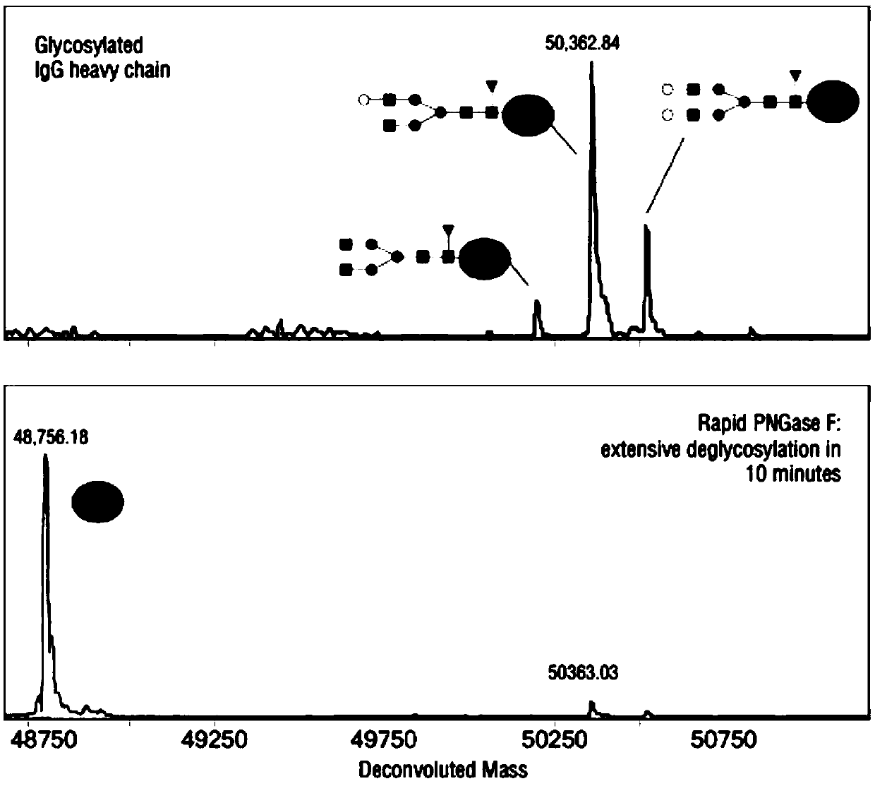 Humanized transformation method of antibody