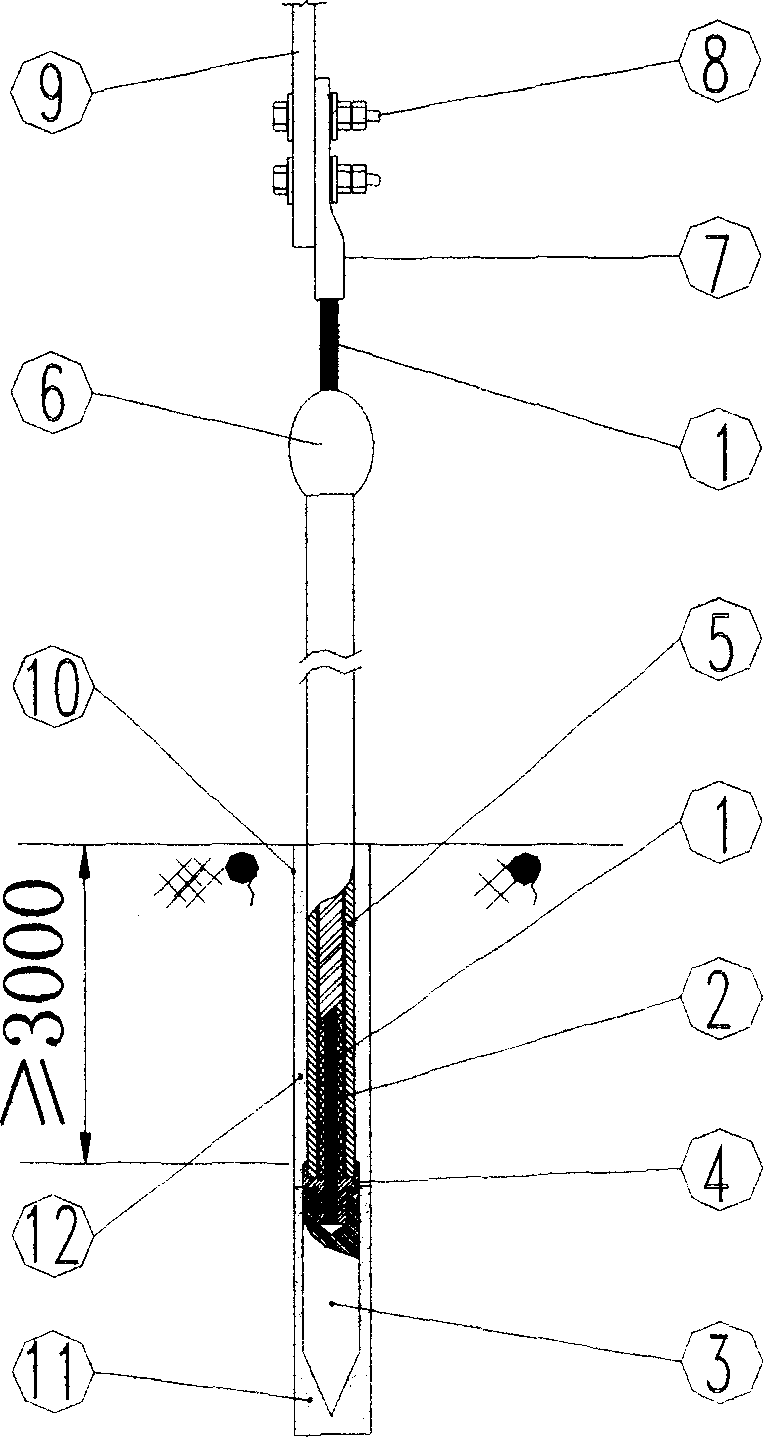 Overvoltage protecting ground device with insulative wire leading underground deeply