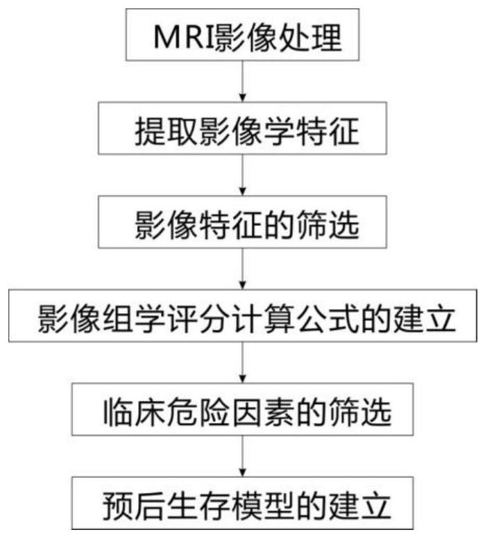 Auxiliary assessment method for prognosis of nasopharynx cancer based on enhanced MRI radiomics