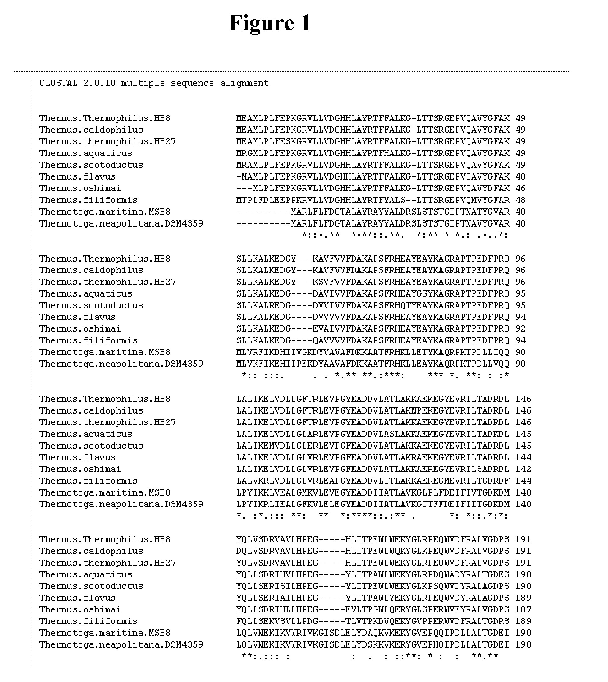 Thermostable type-a DNA polymerase mutants with increased polymerization rate and resistance to inhibitors