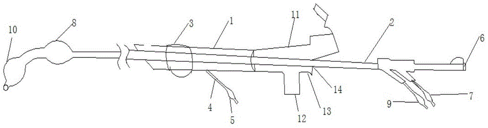 Bronchial occluder with double bags