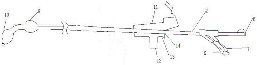 Bronchial occluder with double bags