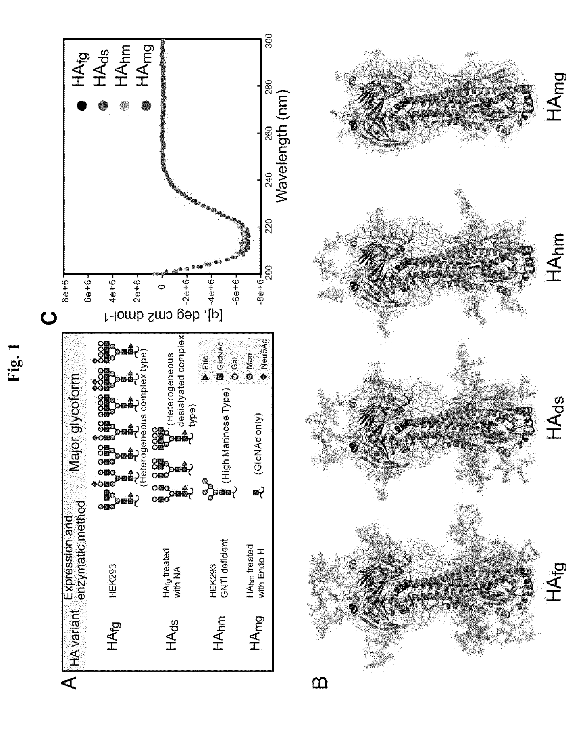 Methods and compositions for immunization against virus