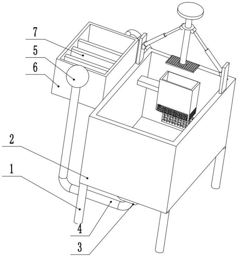 Fry breeding box for hatching of Sinogastromyzon