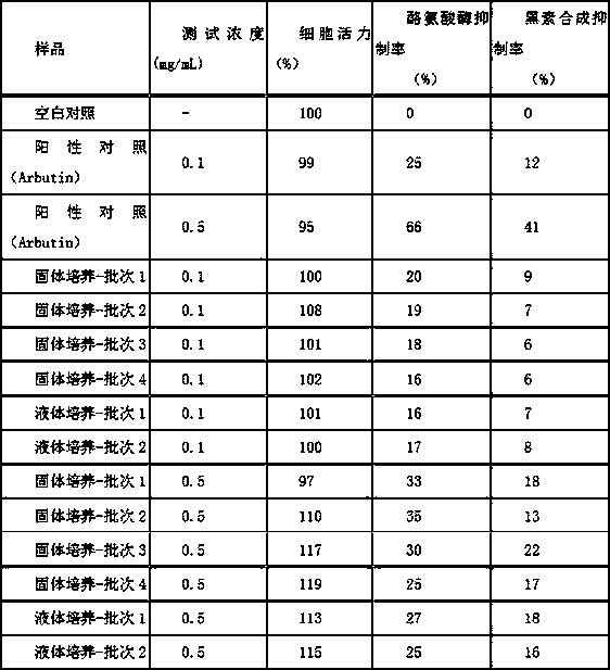 Rosa graciliflora callus cell extract and application thereof in preparation of external preparation for skin