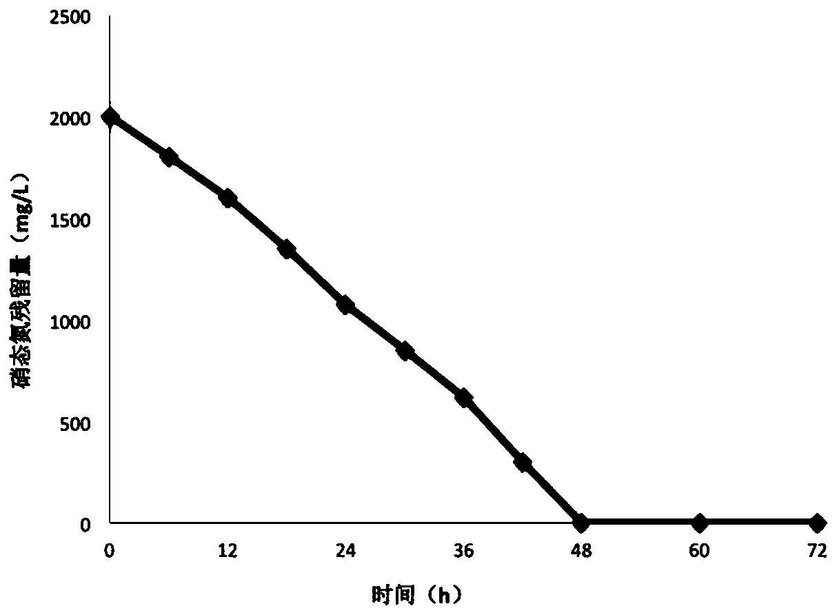 Denitrification strain and application thereof