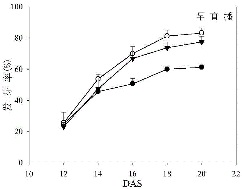 Seed processing method capable of improving emergence rate of direct seeding early rice under low temperature stress