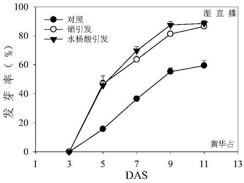 Seed processing method capable of improving emergence rate of direct seeding early rice under low temperature stress