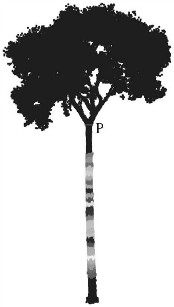 Low-cost tree structure automatic reconstruction method for lossless estimation of standing wood volume