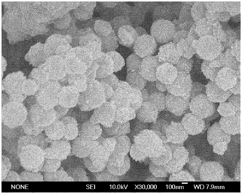 Magnetically-separable noble metal catalyst and preparation method thereof