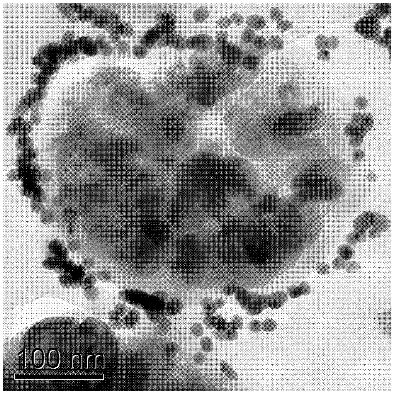 Magnetically-separable noble metal catalyst and preparation method thereof