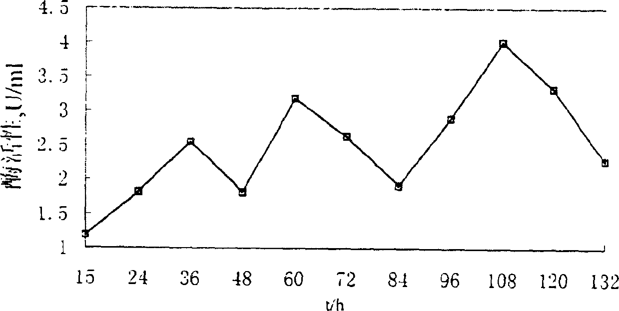 Aspergillus niger inulin endopeptidase gene and recombinant Pichia strain for expressing same