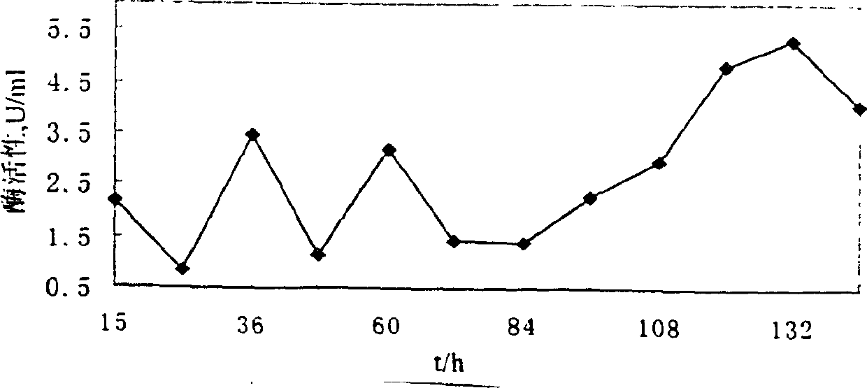 Aspergillus niger inulin endopeptidase gene and recombinant Pichia strain for expressing same