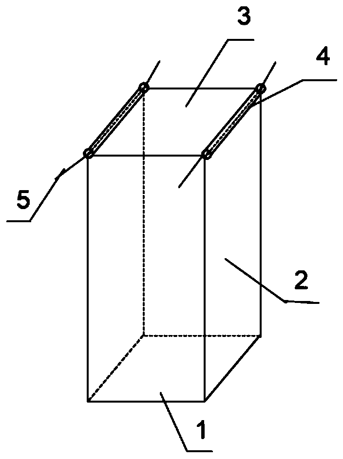 Entomophilous hermaphrodite flower herb insect pollination method