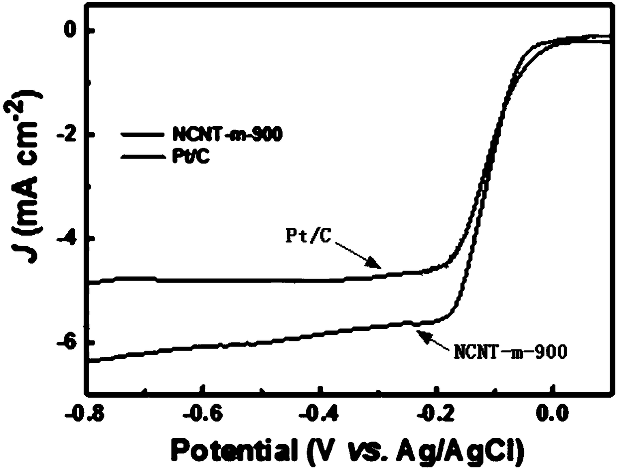 Nitrogen-doped carbon nanotube/carbon composite oxygen reduction catalyst and preparation method thereof