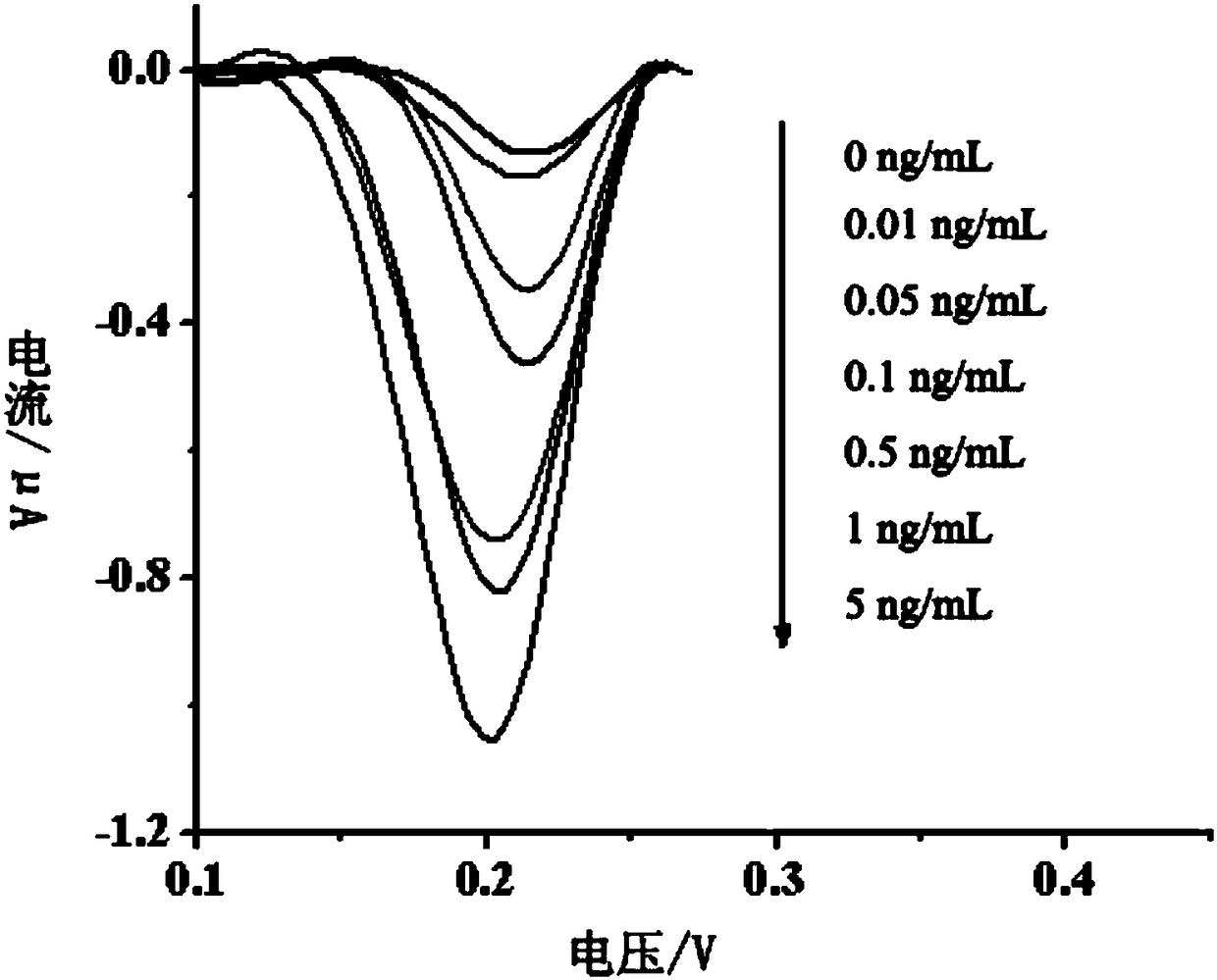 A kind of detection method of human epidermal growth factor receptor-2 concentration