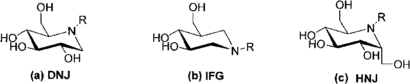 Azasugars compounds, synthesis method and applications thereof