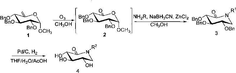 Azasugars compounds, synthesis method and applications thereof