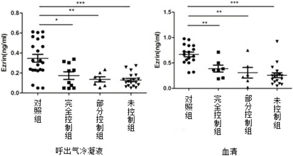 Application of ezrin in preparing asthma diagnostic reagent