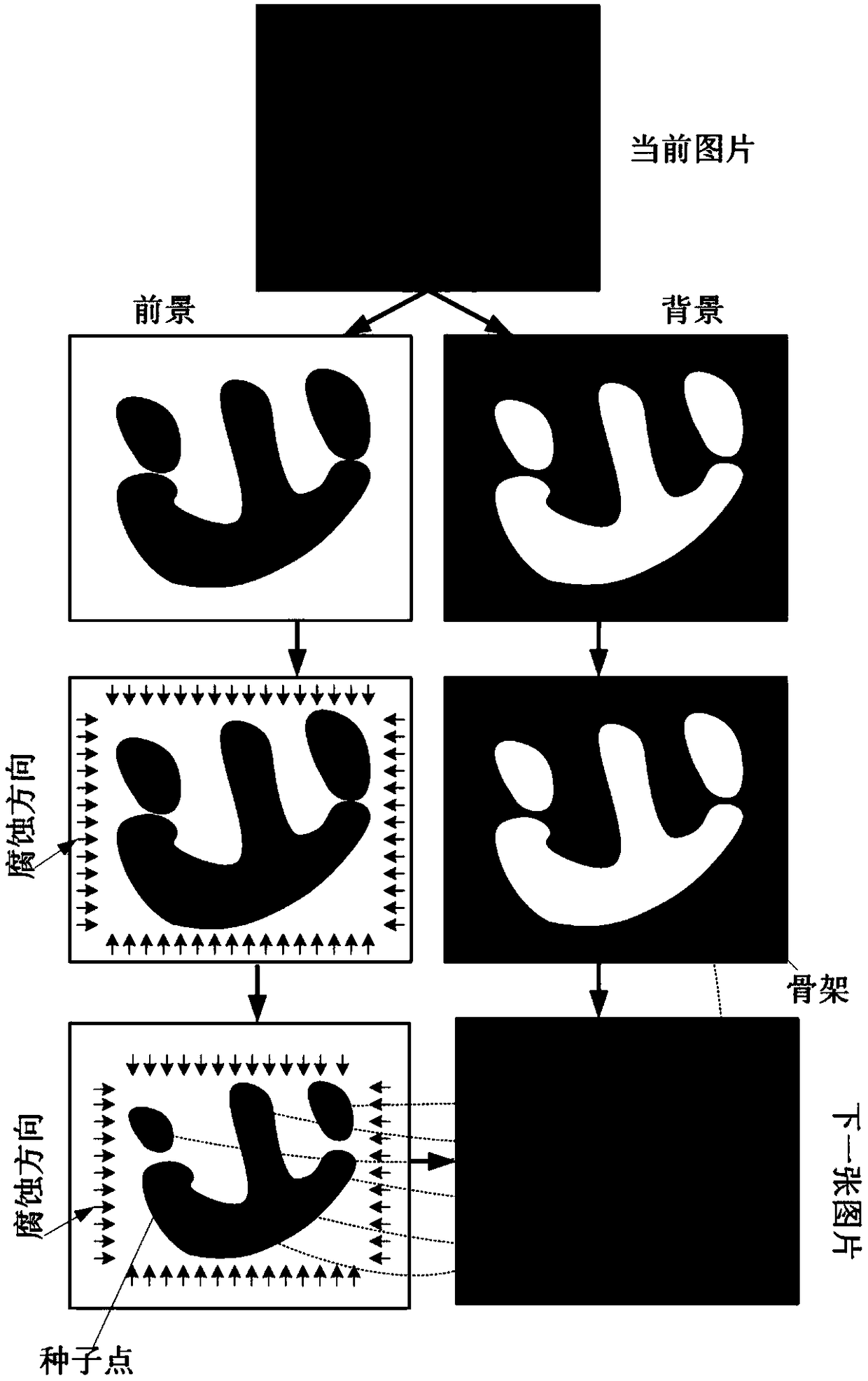 An automatic segmentation method of serialize visual human body slice images