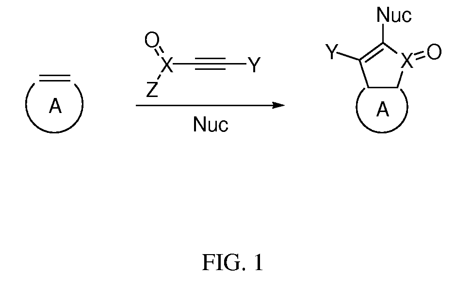 Functionalization of nanoscale articles including nanotubes and fullerenes