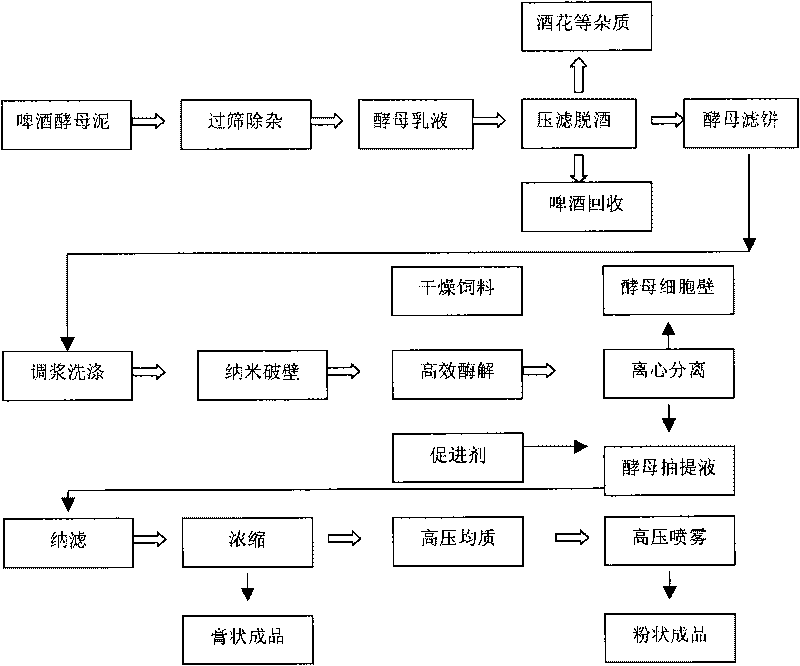 Method for preparing personalized biological culture medium raw material from beer waste yeast