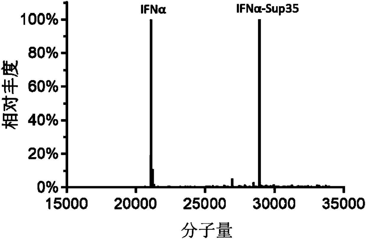 Artificial fusion protein and application thereof