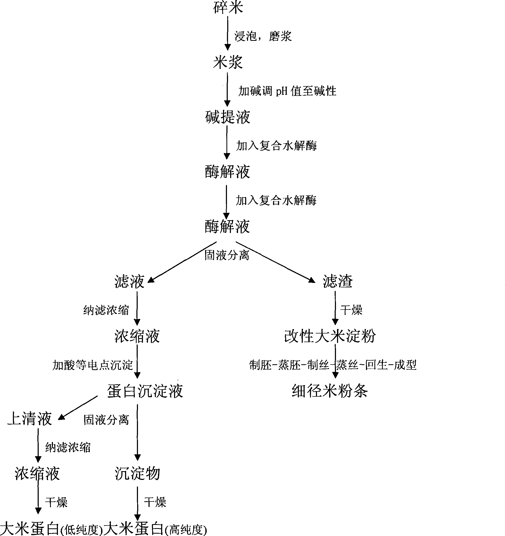 Technique for preparing edible rice protein and thin rice-flour noodles with coproduction of broken rice