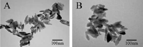 Preparation method of antibacterial nano material