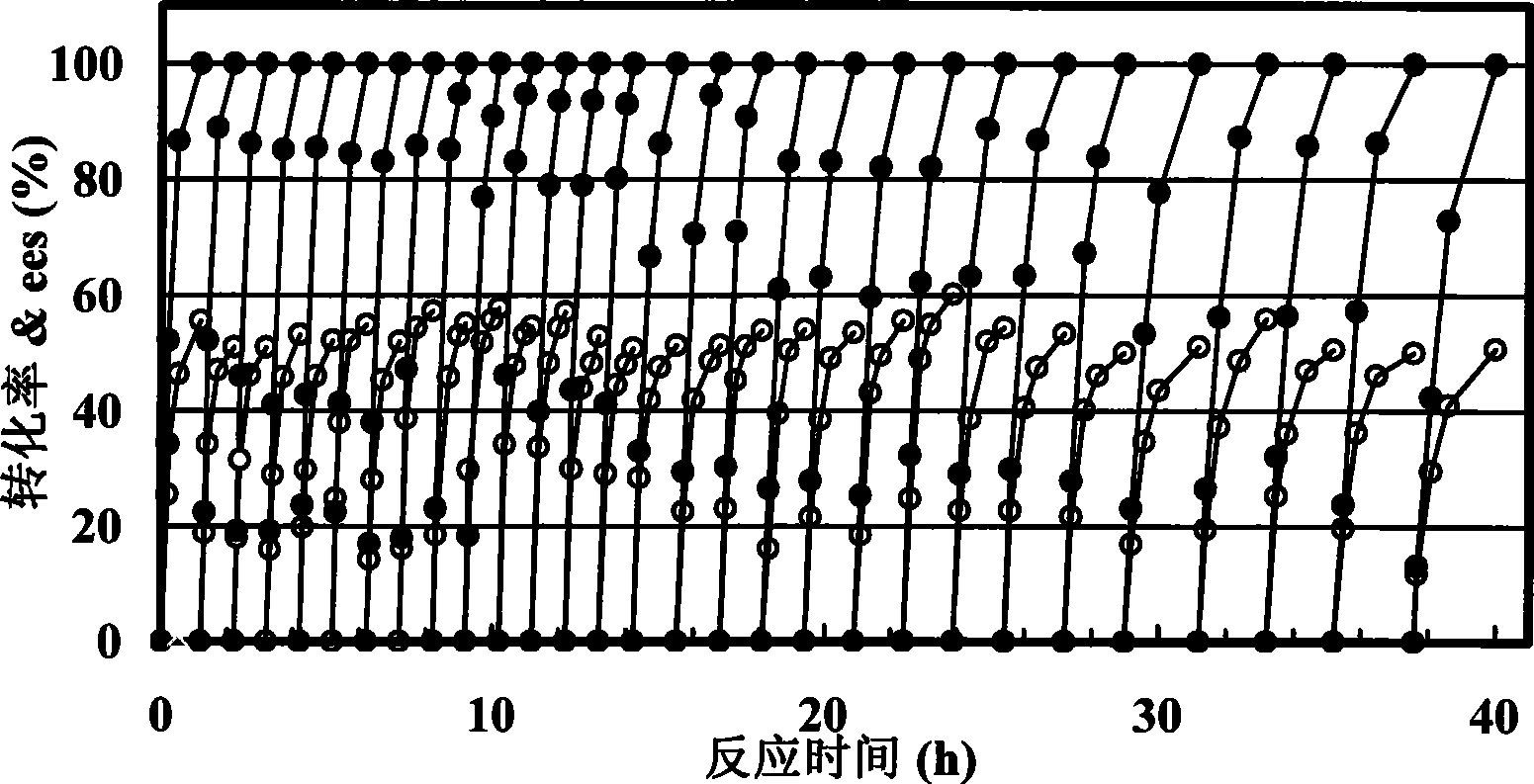 Immobilized Serratia lipase, preparation method and application for catalyzing and splitting diltiazem chiral precursor