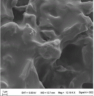 Preparation method of loess and itaconic acid copolymer adsorbent