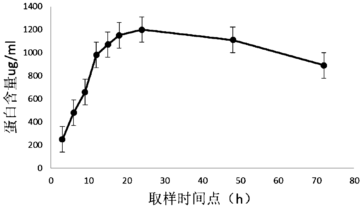 Kochia scoparia(l.)schrad. pollen allergen extract and extract liquid and preparation method of extract liquid