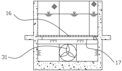 Multifunctional circulating water tank for fish swimming exercise