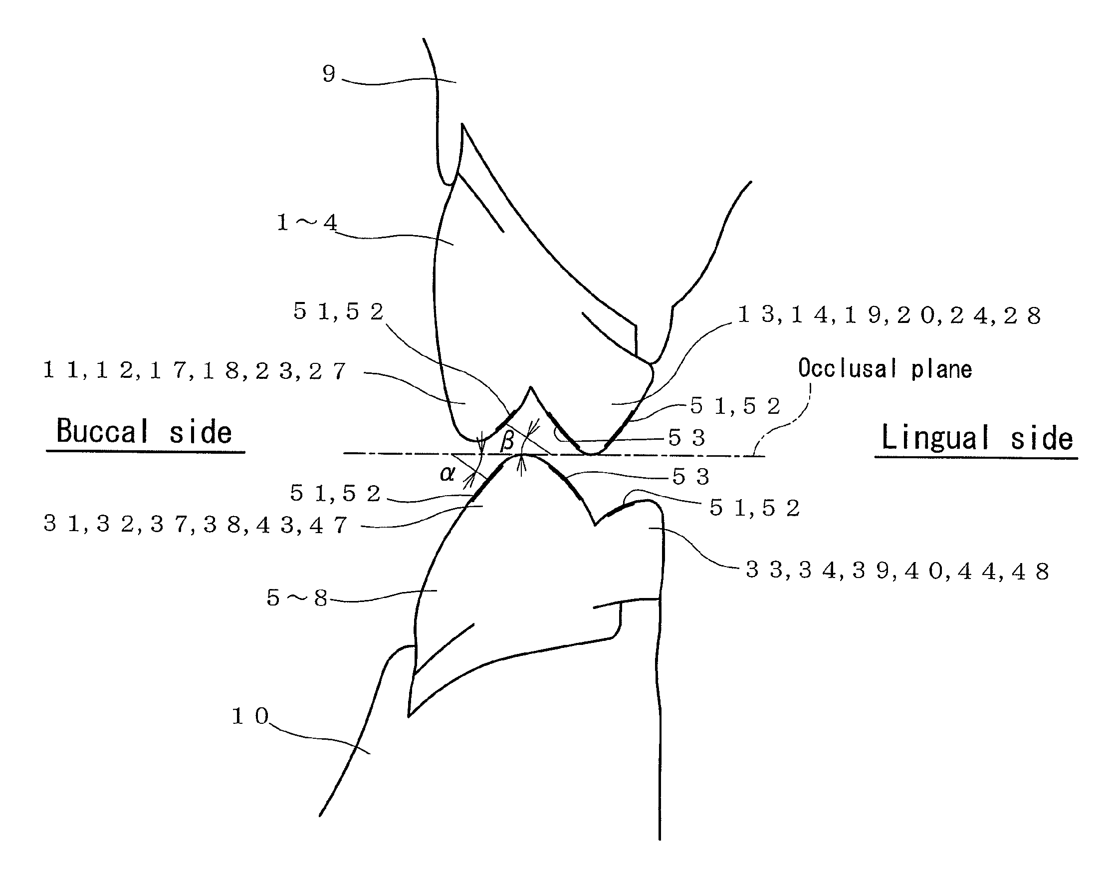 Artificial molar teeth