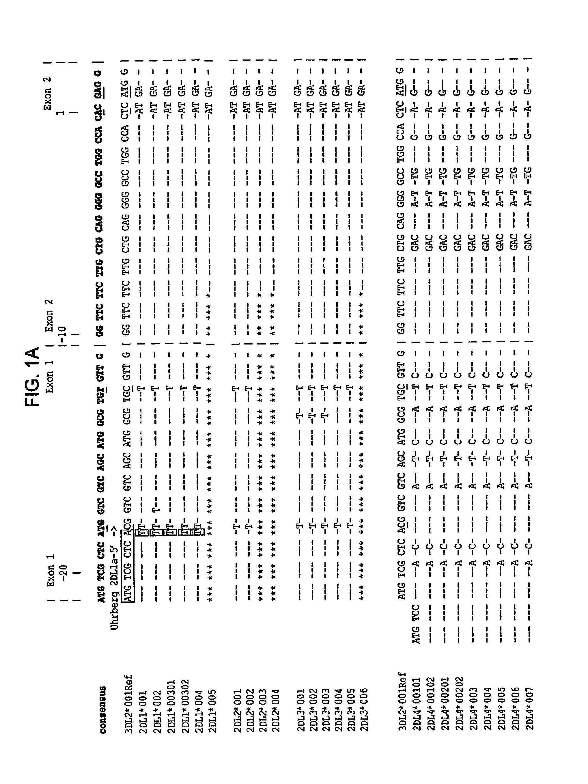 Methods and compositions for KIR genotyping