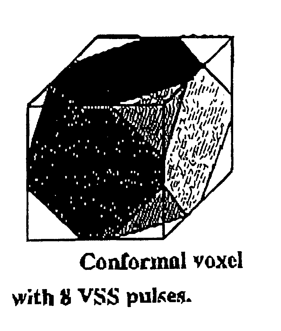 Magnetic resonance spectroscopy using a conformal voxel