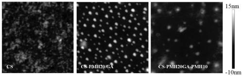 A kind of preparation method of imitation cell outer membrane structure coating with phosphorylcholine on the surface