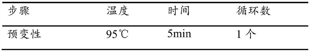 Amplification primer pair for lactic acid bacteria sequencing, lactic acid bacteria species identification method and application