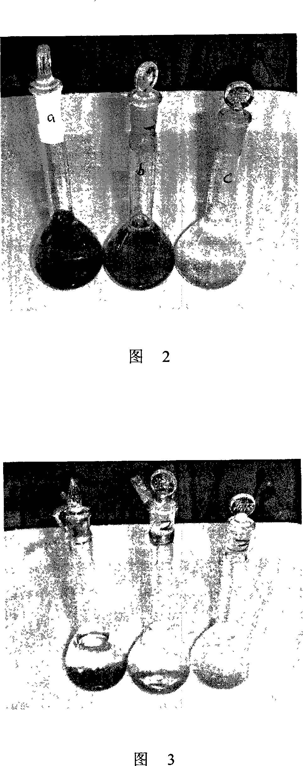 Decolor refined technology of notoginseng total saponin duolite method