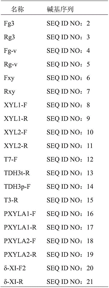 Saccharomyces cerevisiae strain expressing xylose isomerase and construction method of saccharomyces cerevisiae strain