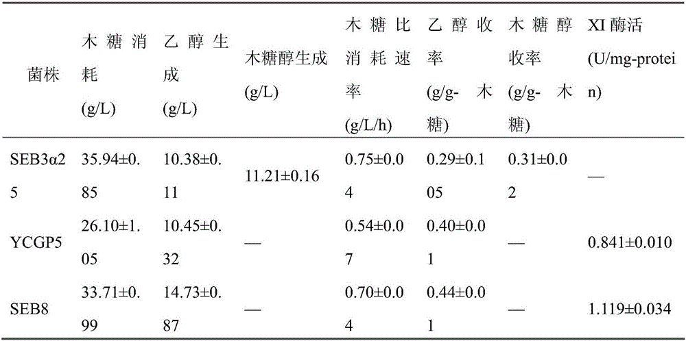 Saccharomyces cerevisiae strain expressing xylose isomerase and construction method of saccharomyces cerevisiae strain