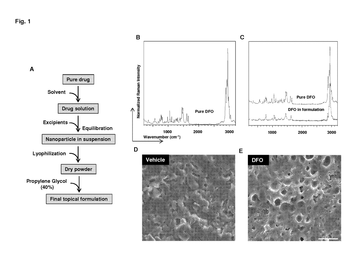 HIF-1 modulator paint formulation and uses thereof