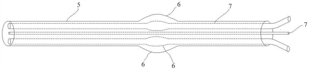 A kind of auxiliary device for diagnosis and treatment of lacrimal duct and its application