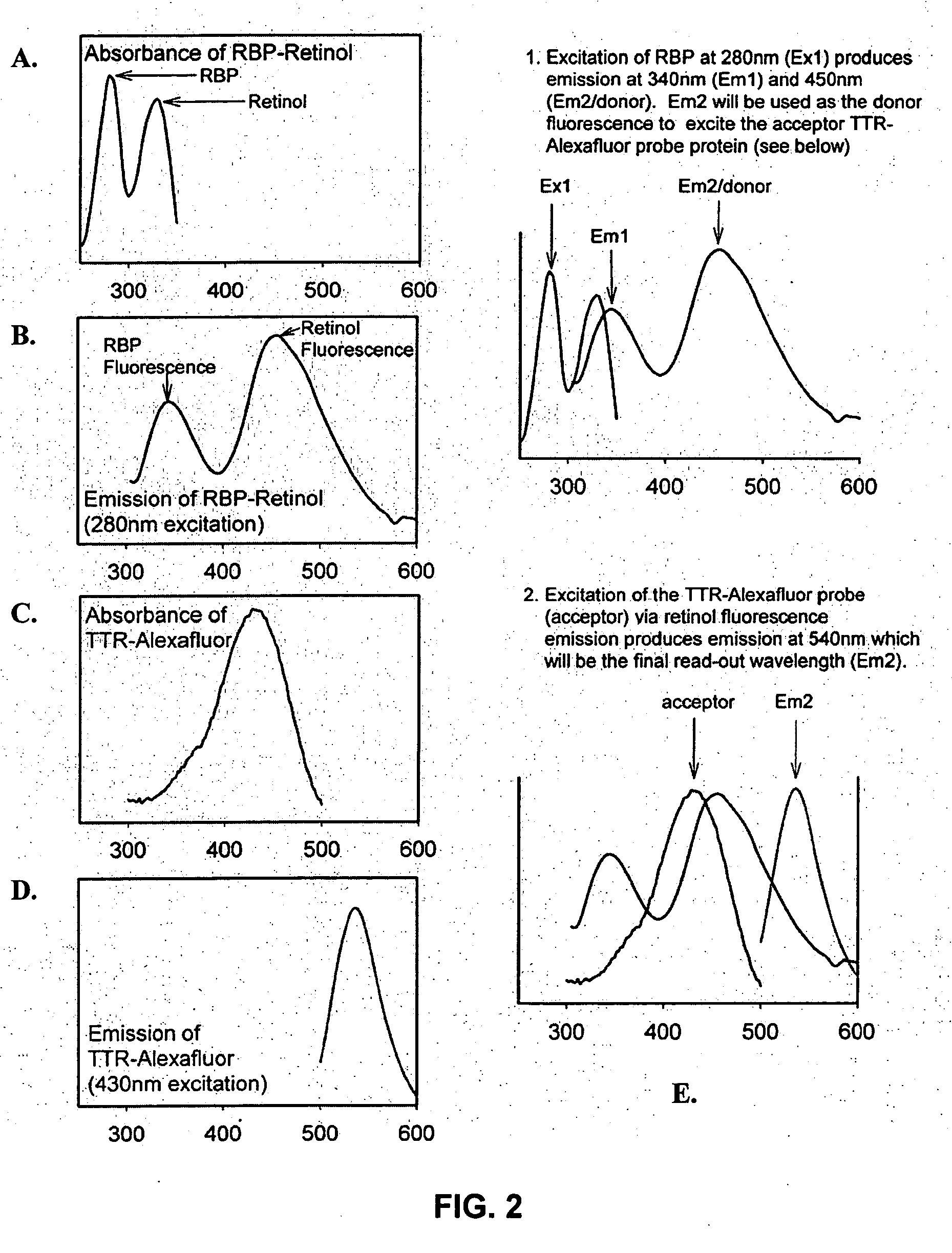 Modulators of retinol-retinol binding protein (RBP)-transthyretin (TTR) complex formation