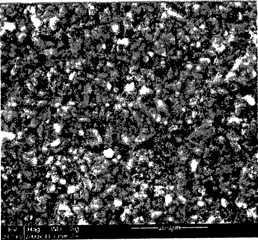 Preparation of black alumina substrate for multilayered wiring