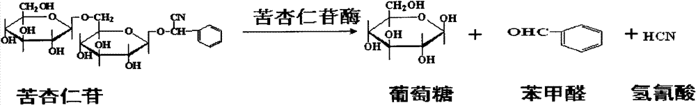 Method for preparing bitter almond extract product