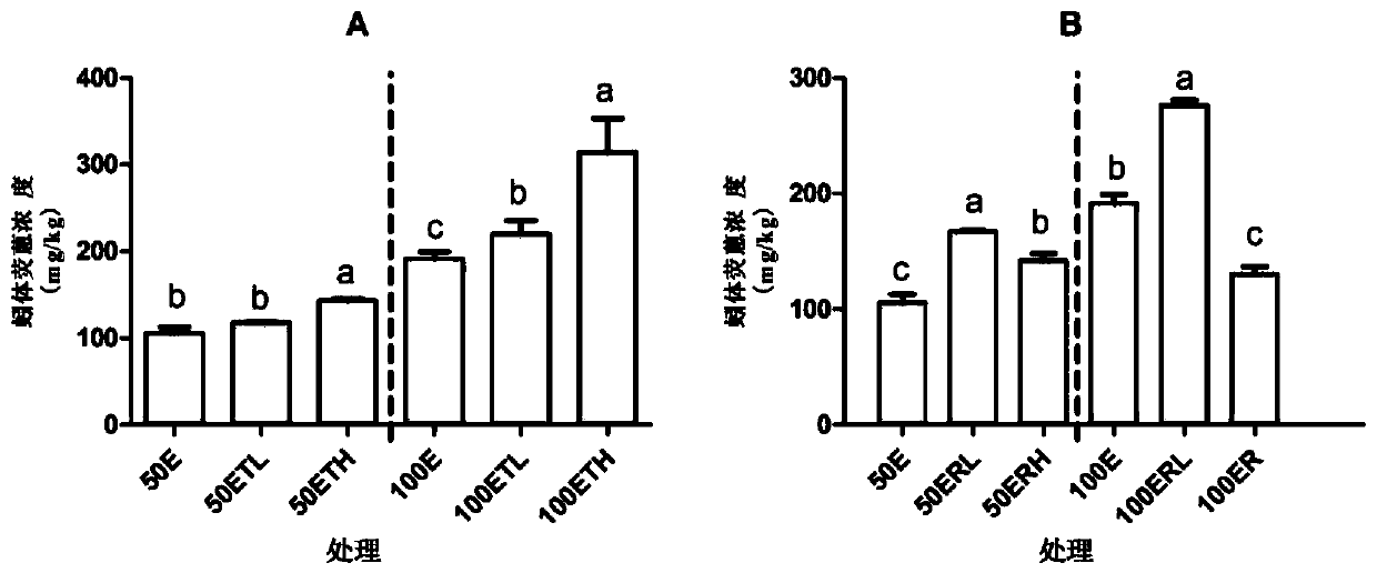 Method for vermiremediation synergy of polycyclic aromatic hydrocarbon-contaminated soil