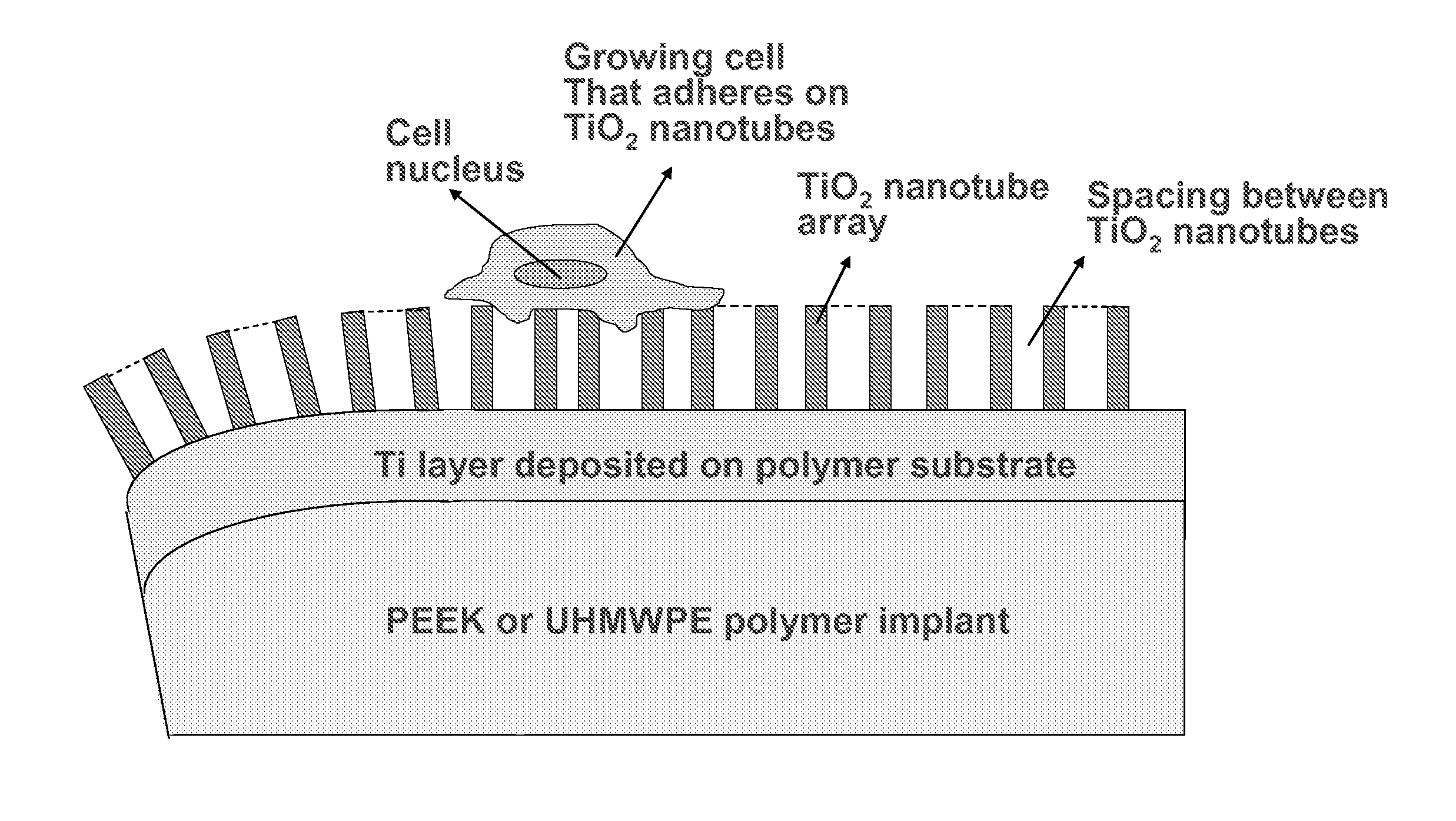 Inorganically surface-modified polymers and methods for making and using them